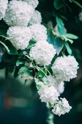 奔跑吧天路篇在线观看免费高清