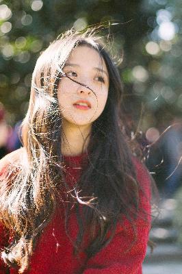 九重紫电视剧免费观看全集在线播放